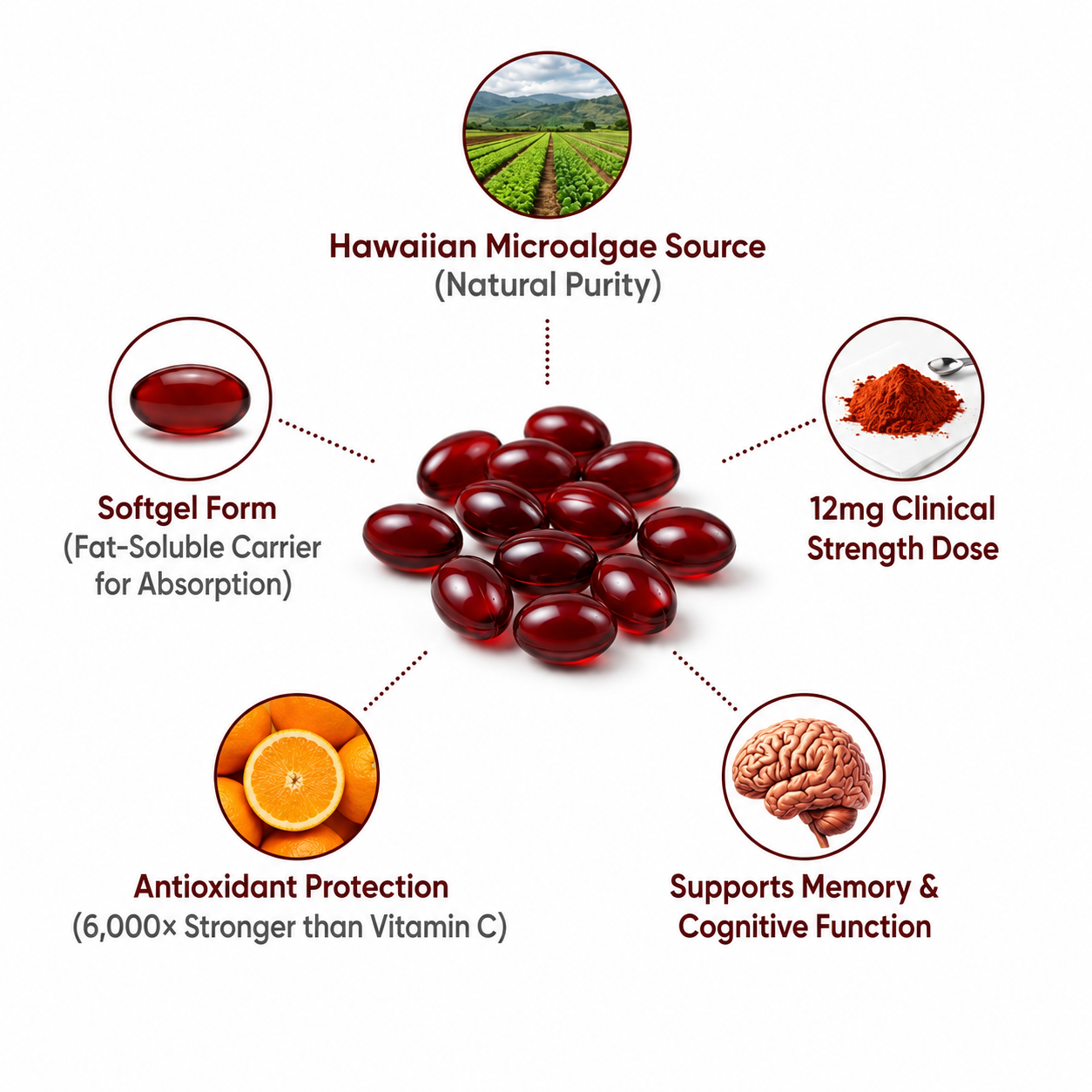 Astaxanthin molecule